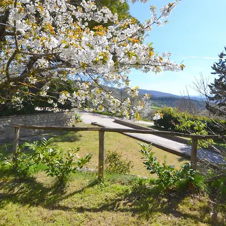 Amazing * Monte Santa Maria Tiberina