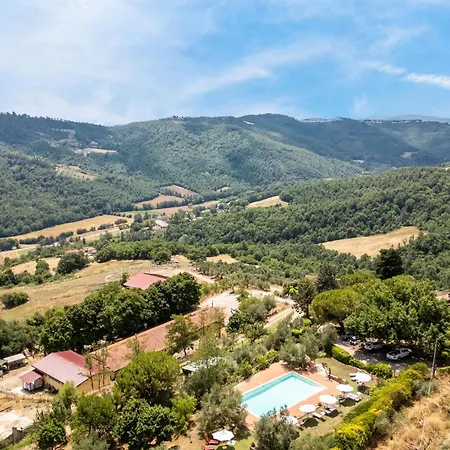 Girasole * Monte Santa Maria Tiberina