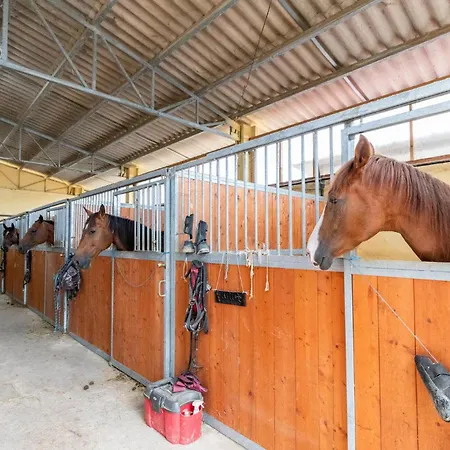 Girasole Διαμέρισμα *