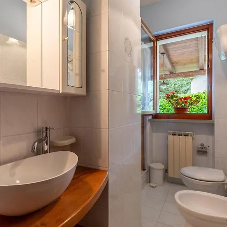 Girasole Monte Santa Maria Tiberina