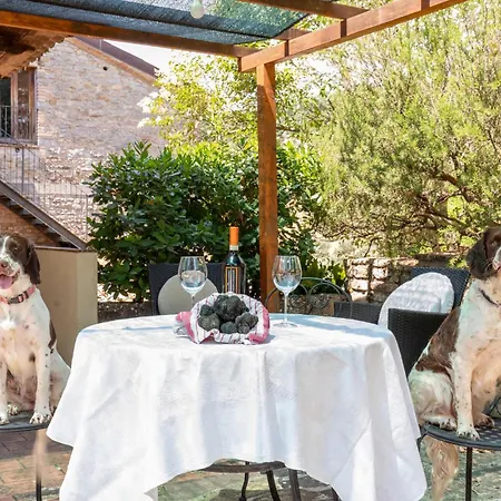 Διαμέρισμα Girasole *