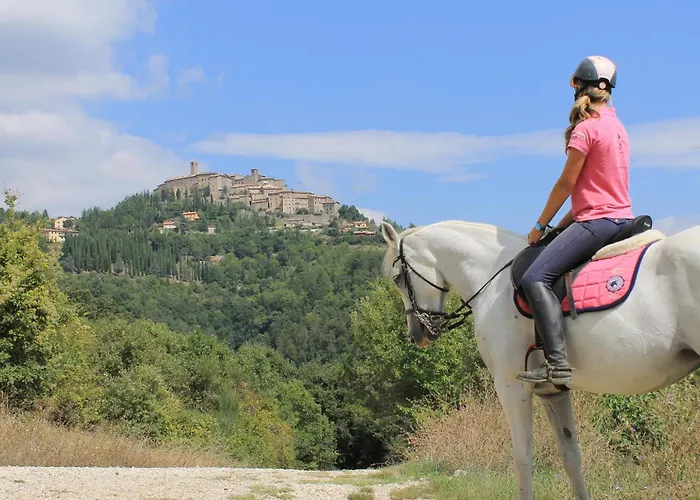 Apartamento Girasole *