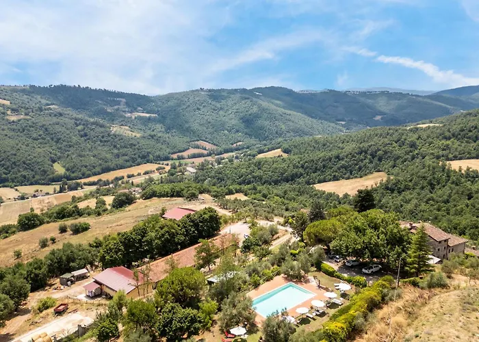 Girasole * Monte Santa Maria Tiberina