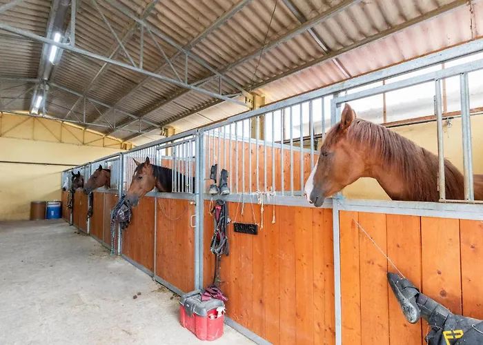 Girasole Apartament *