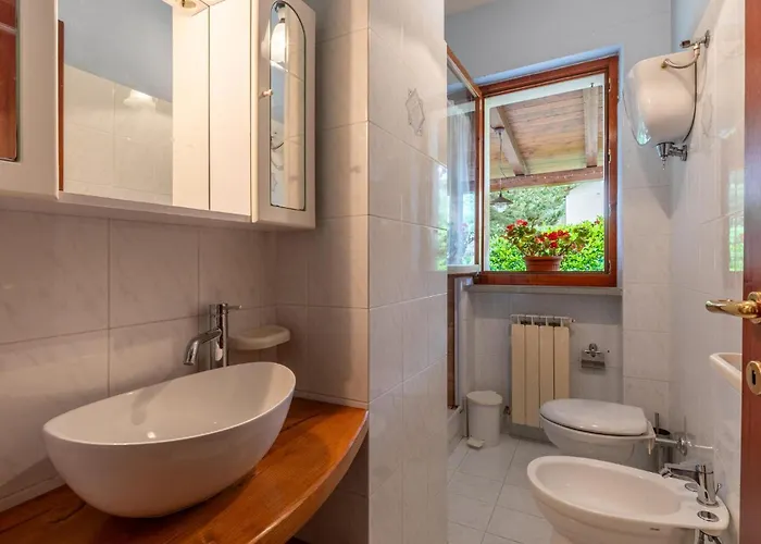 Girasole Monte Santa Maria Tiberina