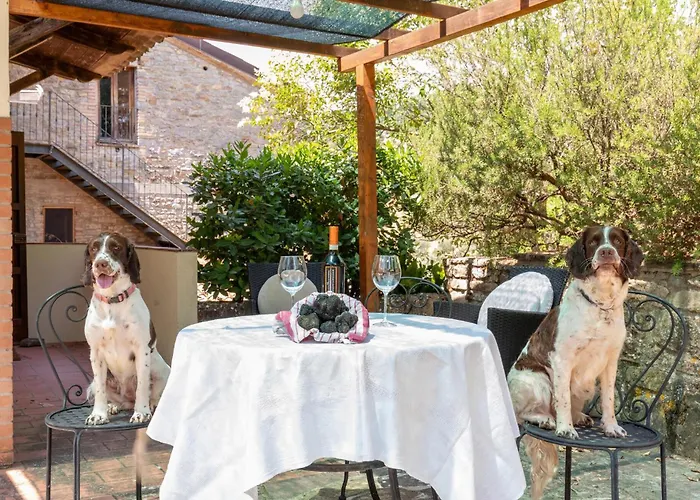 Apartament Girasole *